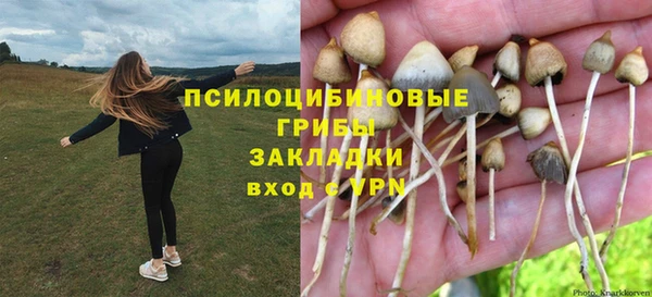 кокаин Каменка