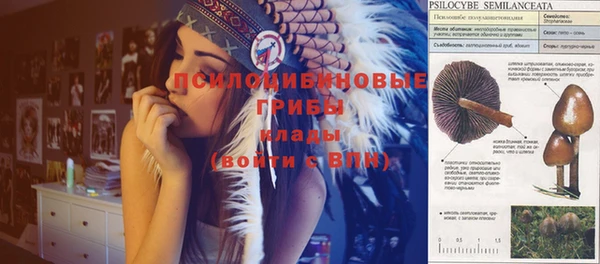 прущая мука Каменск-Шахтинский