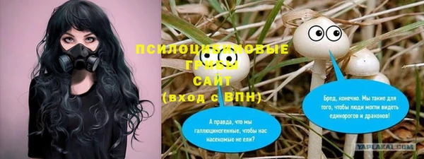 марихуана Абаза
