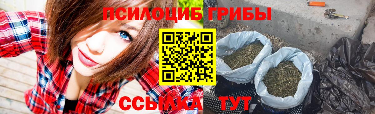 Галлюциногенные грибы Magic Shrooms Пятигорск