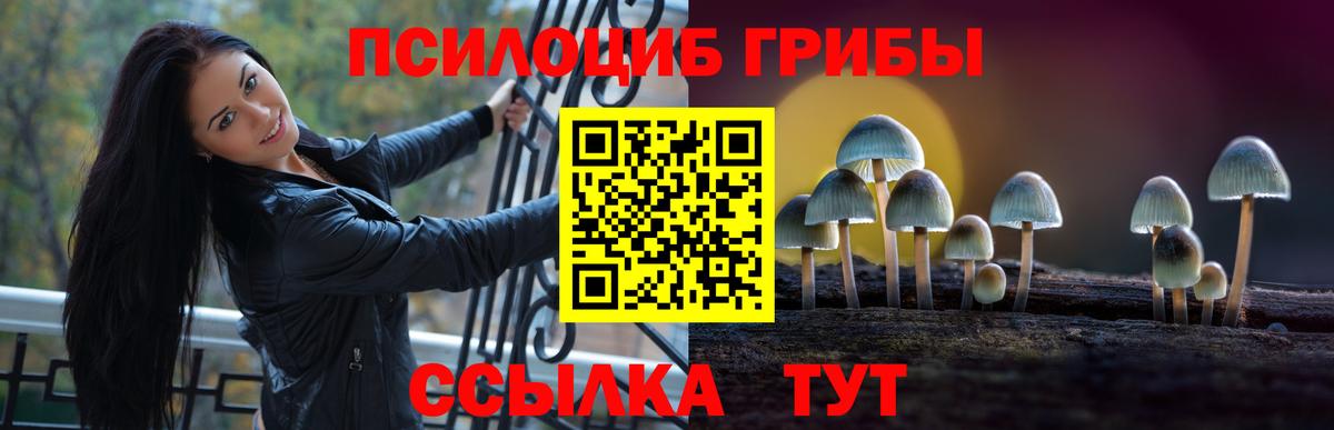 Галлюциногенные грибы прущие грибы  Вход с VPN  Пятигорск 
