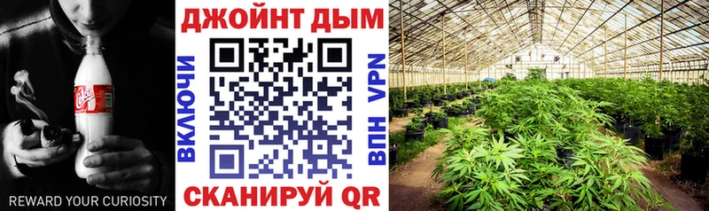 наркота  ОМГ ОМГ ONION  МАРИХУАНА план  Пятигорск 